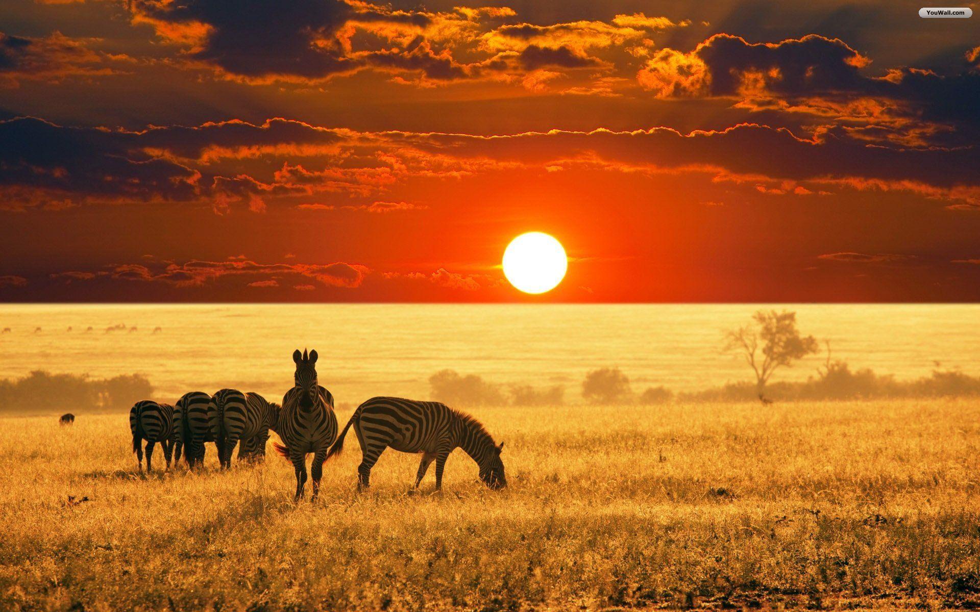 Africa Wallpapers Top Free Africa Backgrounds WallpaperAccess