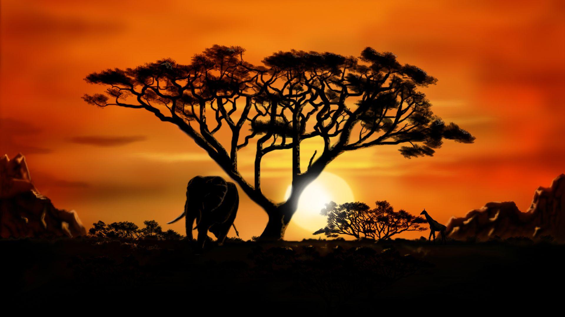 Africa Wallpapers Top Free Africa Backgrounds WallpaperAccess