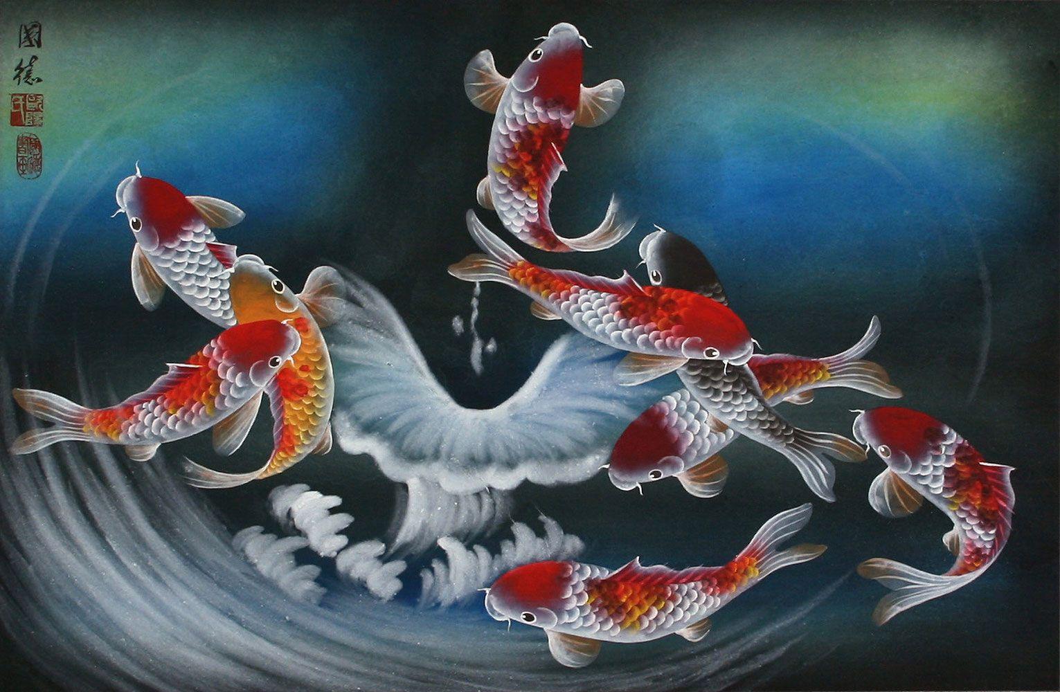 Japanese Koi Fish Wallpapers Top Free Japanese Koi Fish Backgrounds