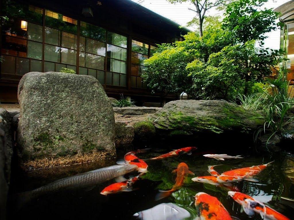 Japanese Fish Pond Wallpapers Top Free Japanese Fish Pond Backgrounds WallpaperAccess