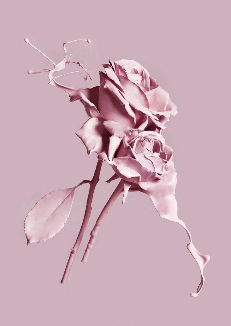 Aesthetic Rose Computer Wallpapers Top Free Aesthetic Rose Computer Backgrounds WallpaperAccess