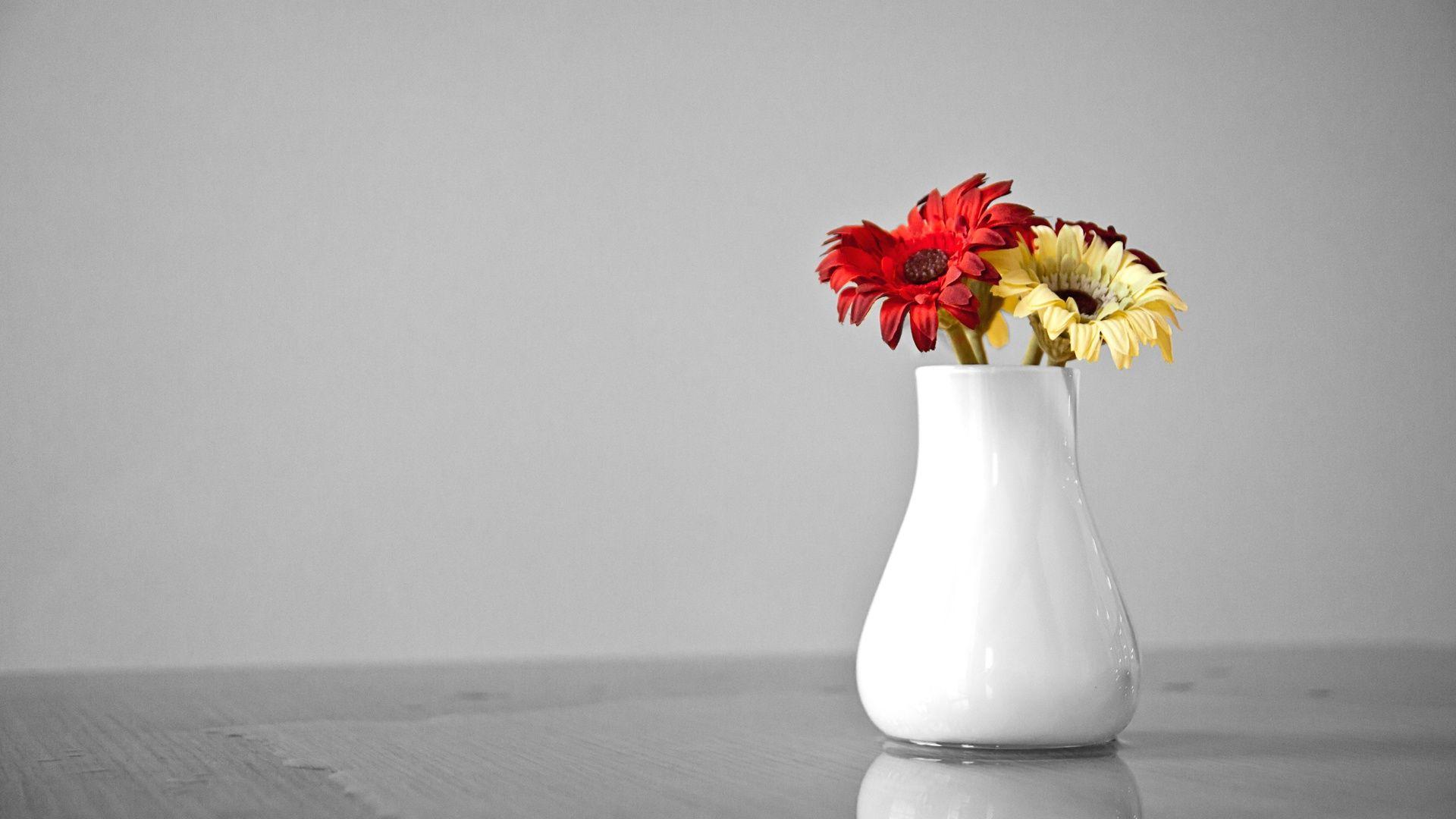 Flower Pot Wallpapers Top Free Flower Pot Backgrounds WallpaperAccess