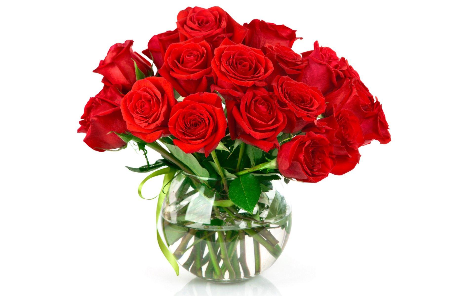 Flower Pot Wallpapers Top Free Flower Pot Backgrounds WallpaperAccess