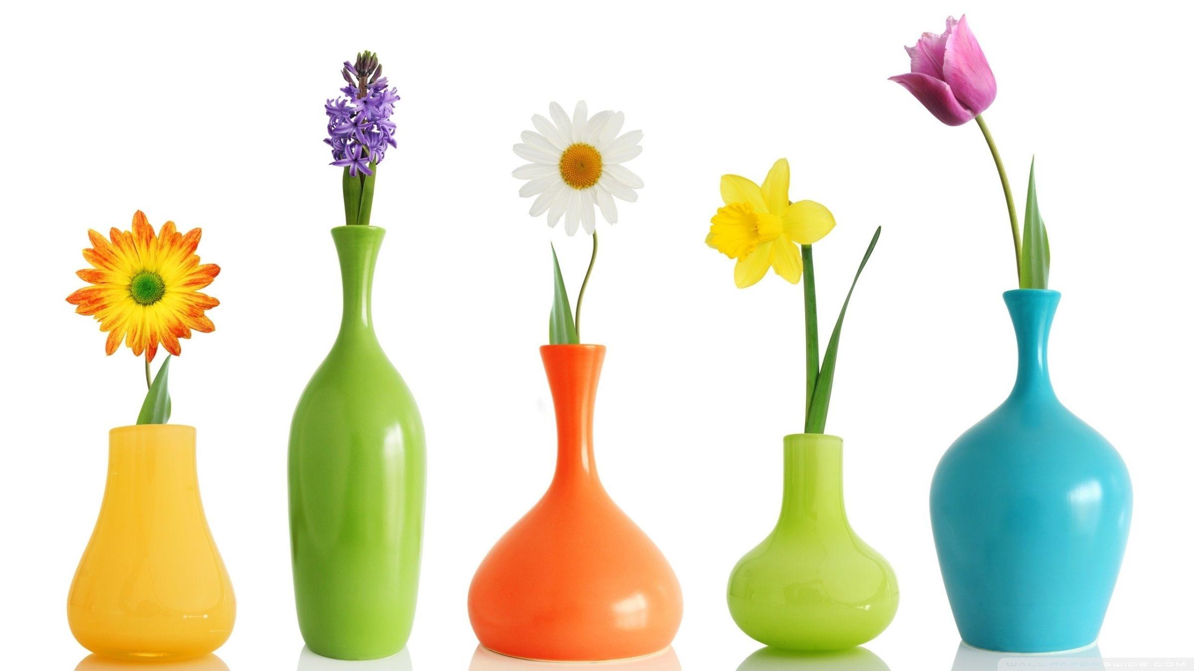 Flower Pot Wallpapers Top Free Flower Pot Backgrounds WallpaperAccess