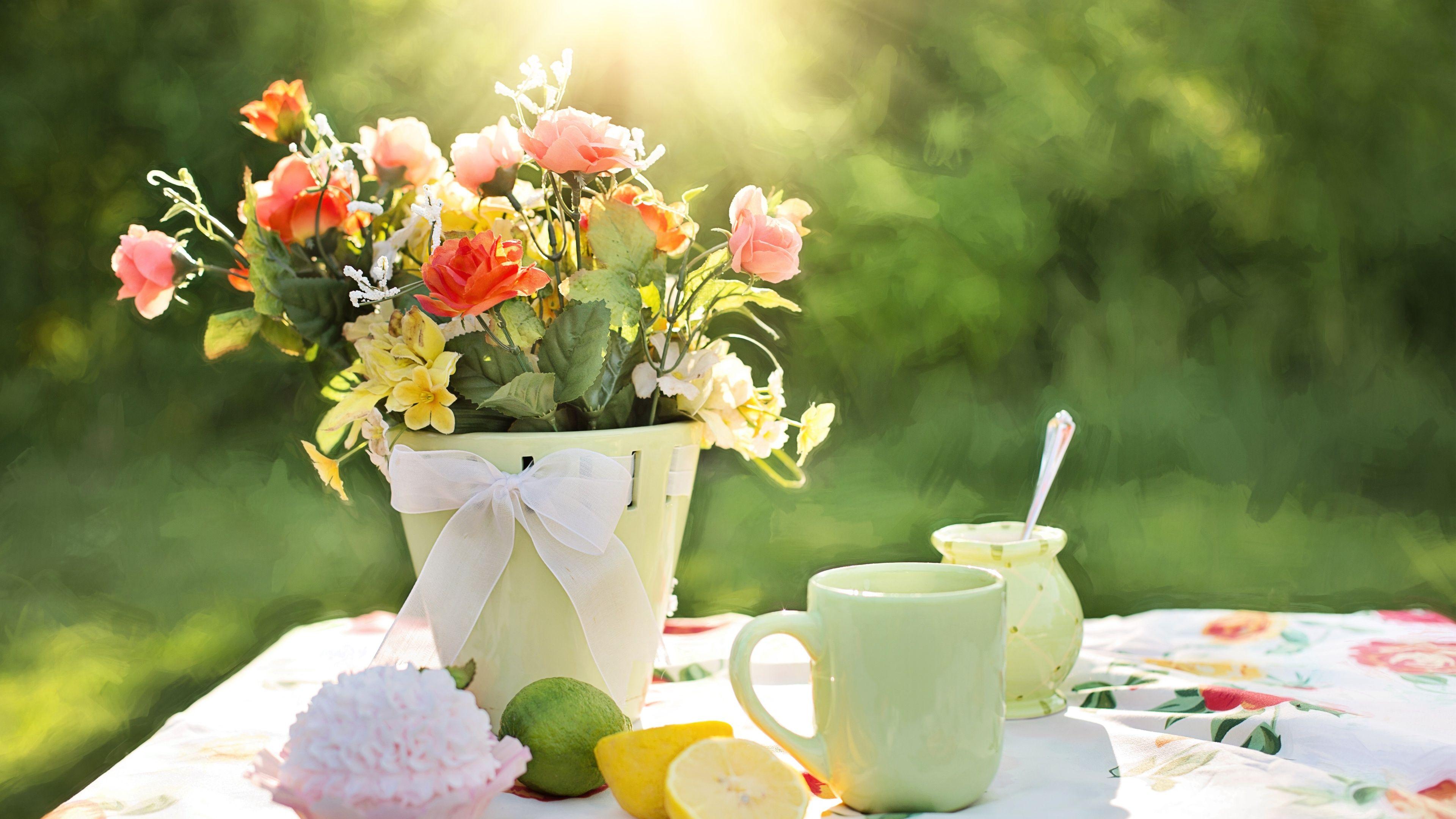 Flower Pot Wallpapers Top Free Flower Pot Backgrounds WallpaperAccess