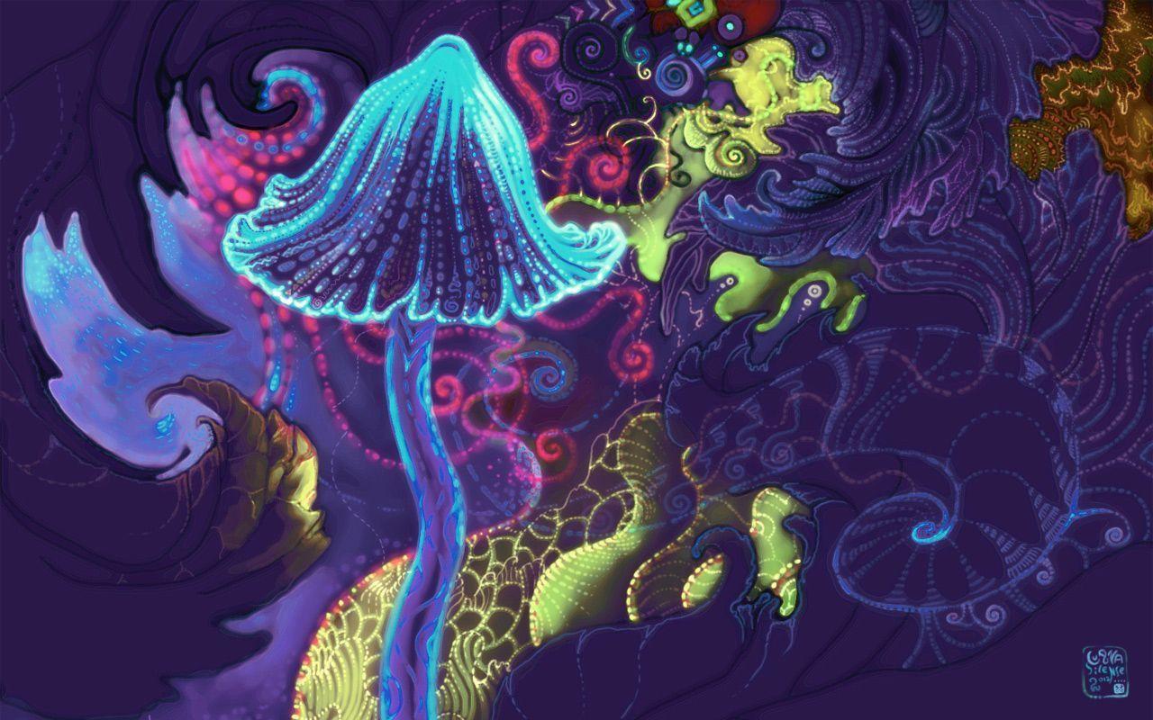 Psychedelic Mushroom Wallpapers Top Free Psychedelic Mushroom