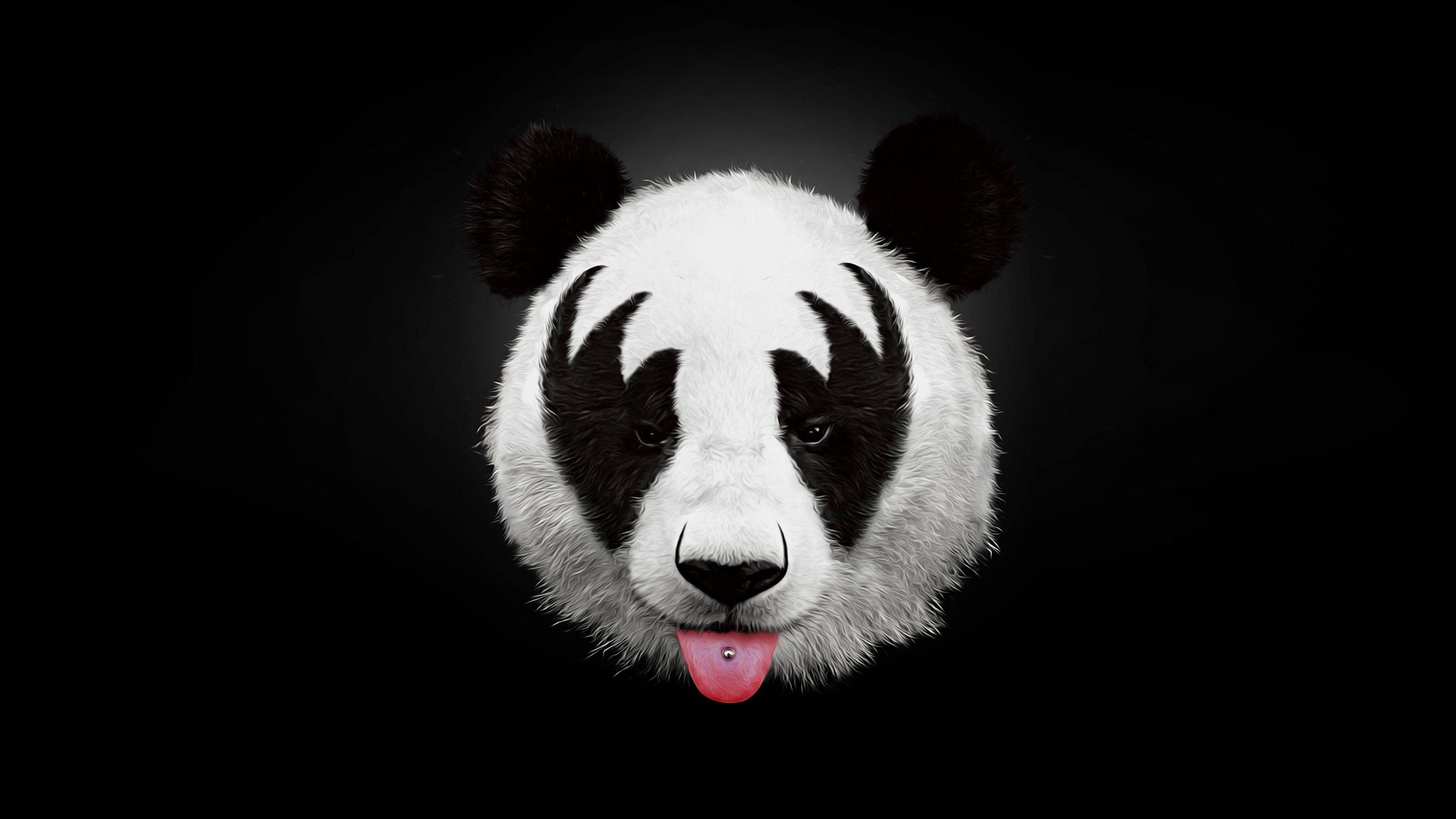 4K Panda Wallpapers Top Free 4K Panda Backgrounds WallpaperAccess