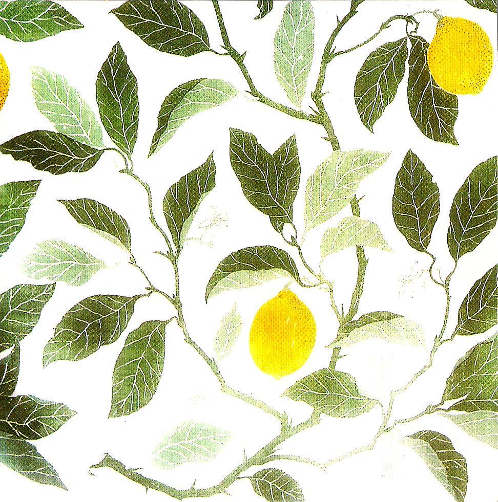 Lemon Tree Wallpapers Top Free Lemon Tree Backgrounds WallpaperAccess