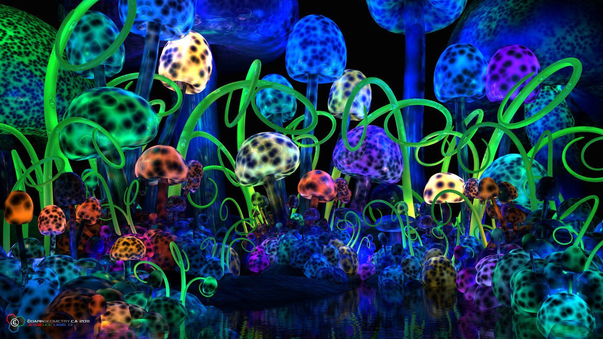 Psychedelic Mushroom Wallpapers Top Free Psychedelic Mushroom