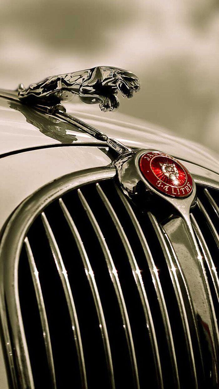 Jaguar Car Logo Wallpapers Top Free Jaguar Car Logo Backgrounds