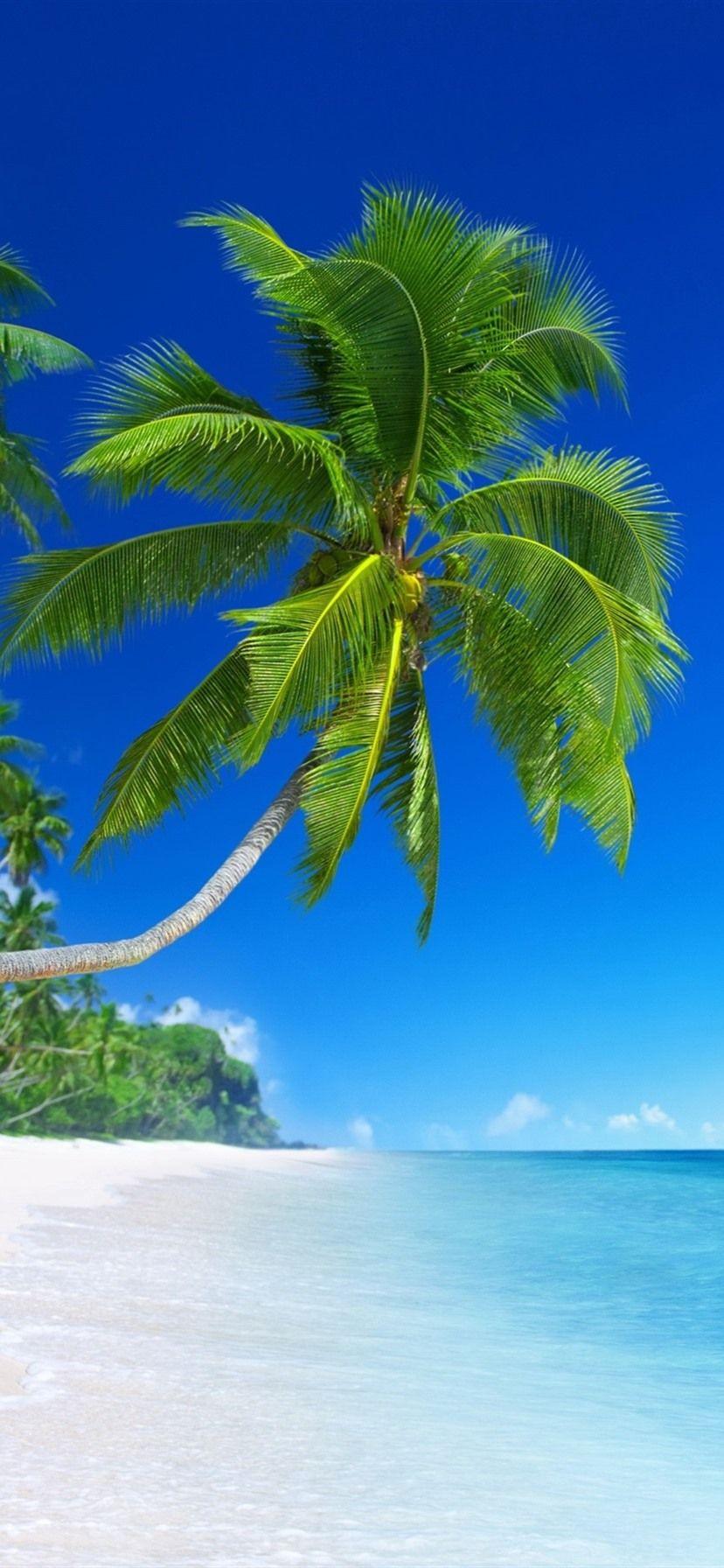 Blue Beach iPhone Wallpapers Top Free Blue Beach iPhone Backgrounds