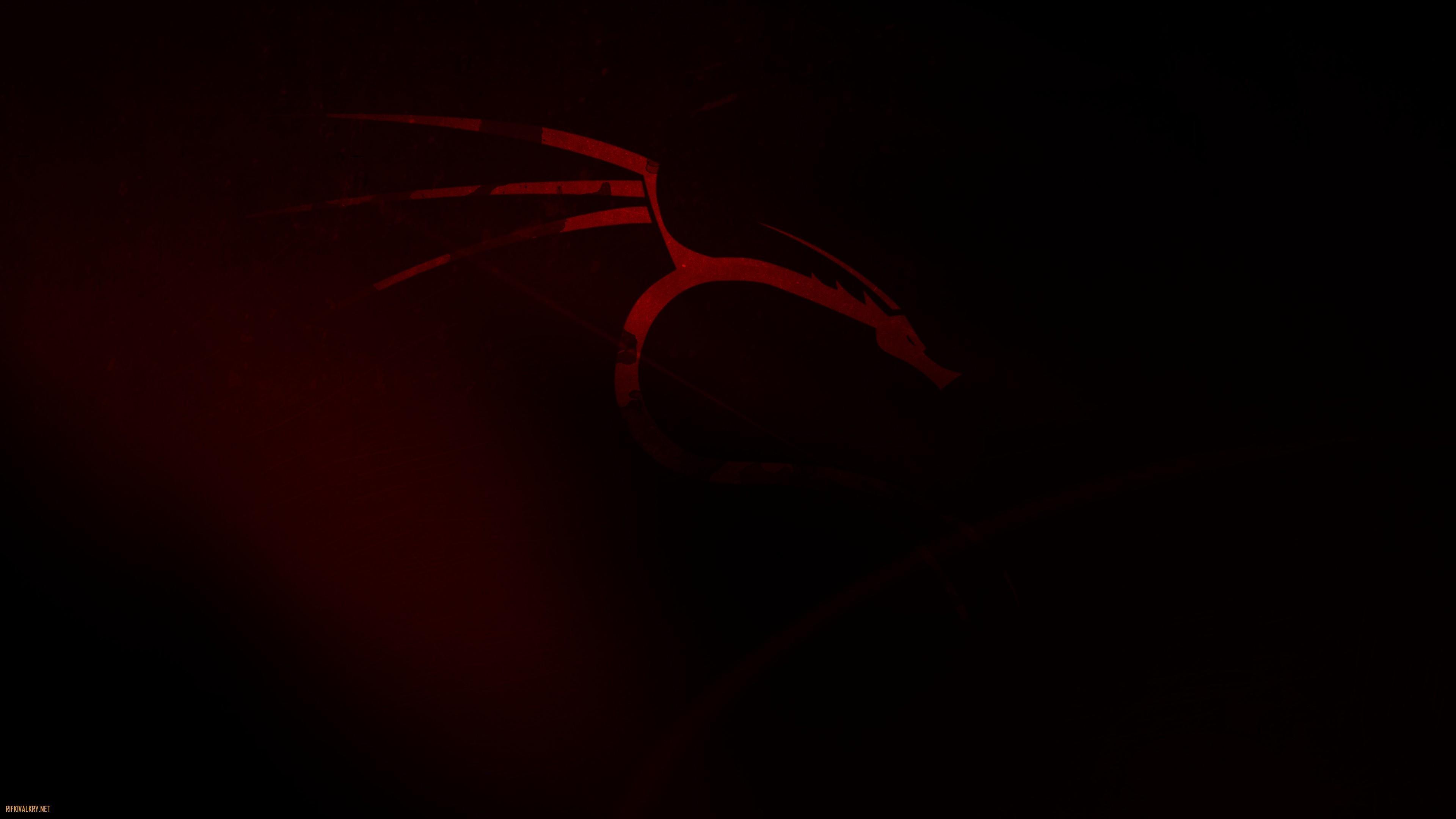Kali Linux Black Wallpapers Top Free Kali Linux Black Backgrounds