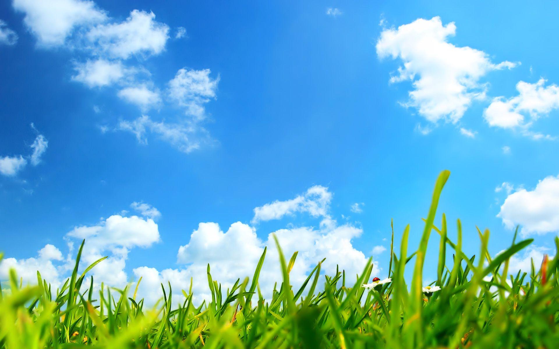 Sky and Grass Wallpapers Top Free Sky and Grass Backgrounds