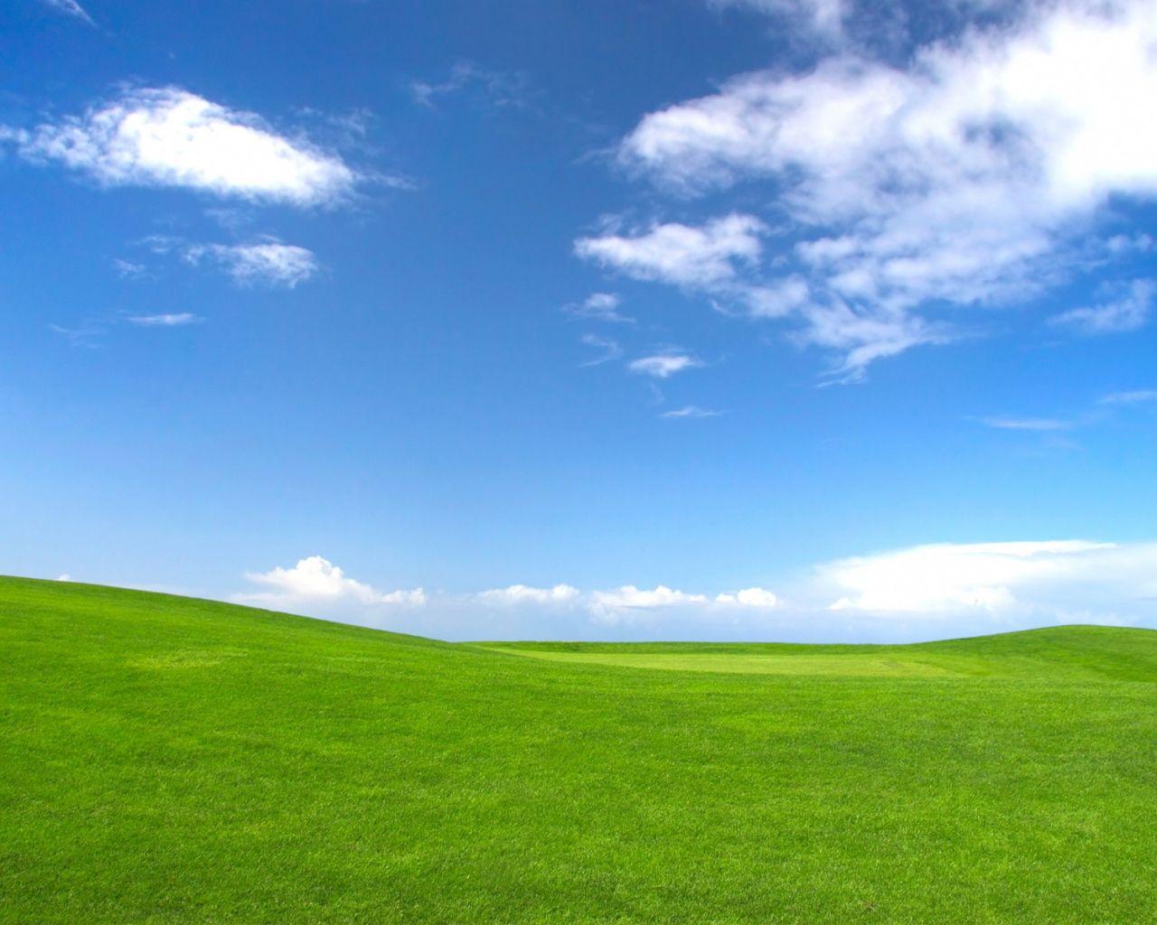 Sky and Grass Wallpapers Top Free Sky and Grass Backgrounds
