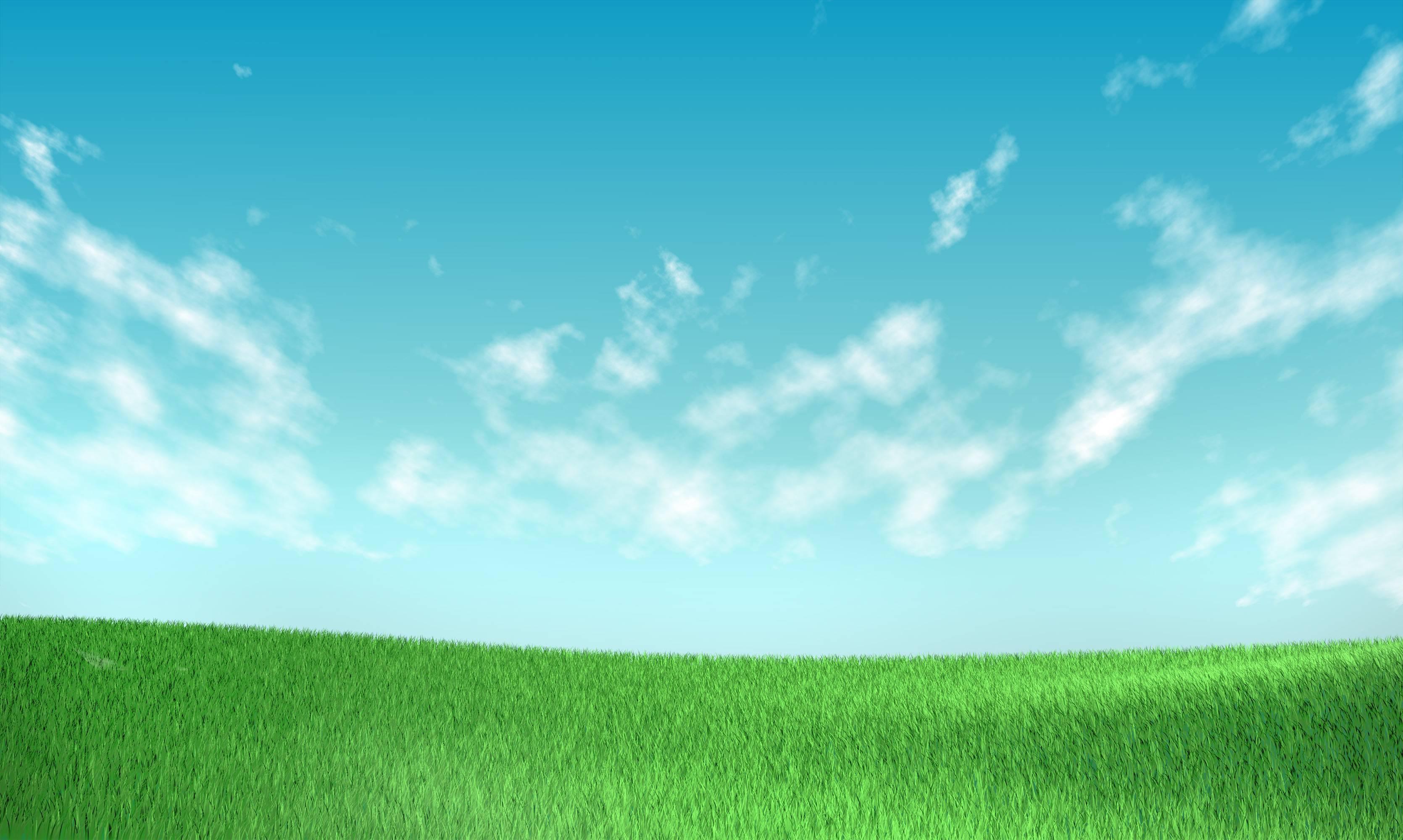 Sky and Grass Wallpapers Top Free Sky and Grass Backgrounds