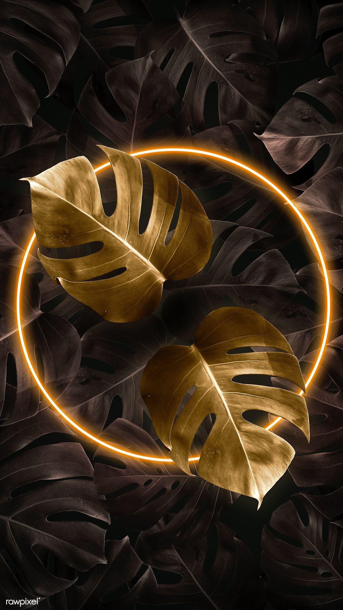 Gold Neon Wallpapers Top Free Gold Neon Backgrounds WallpaperAccess