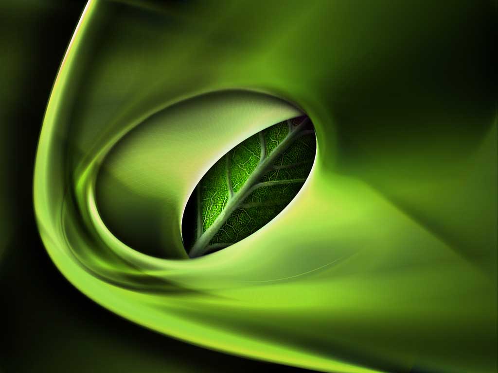 Dark Green 3D Wallpapers Top Free Dark Green 3D Backgrounds