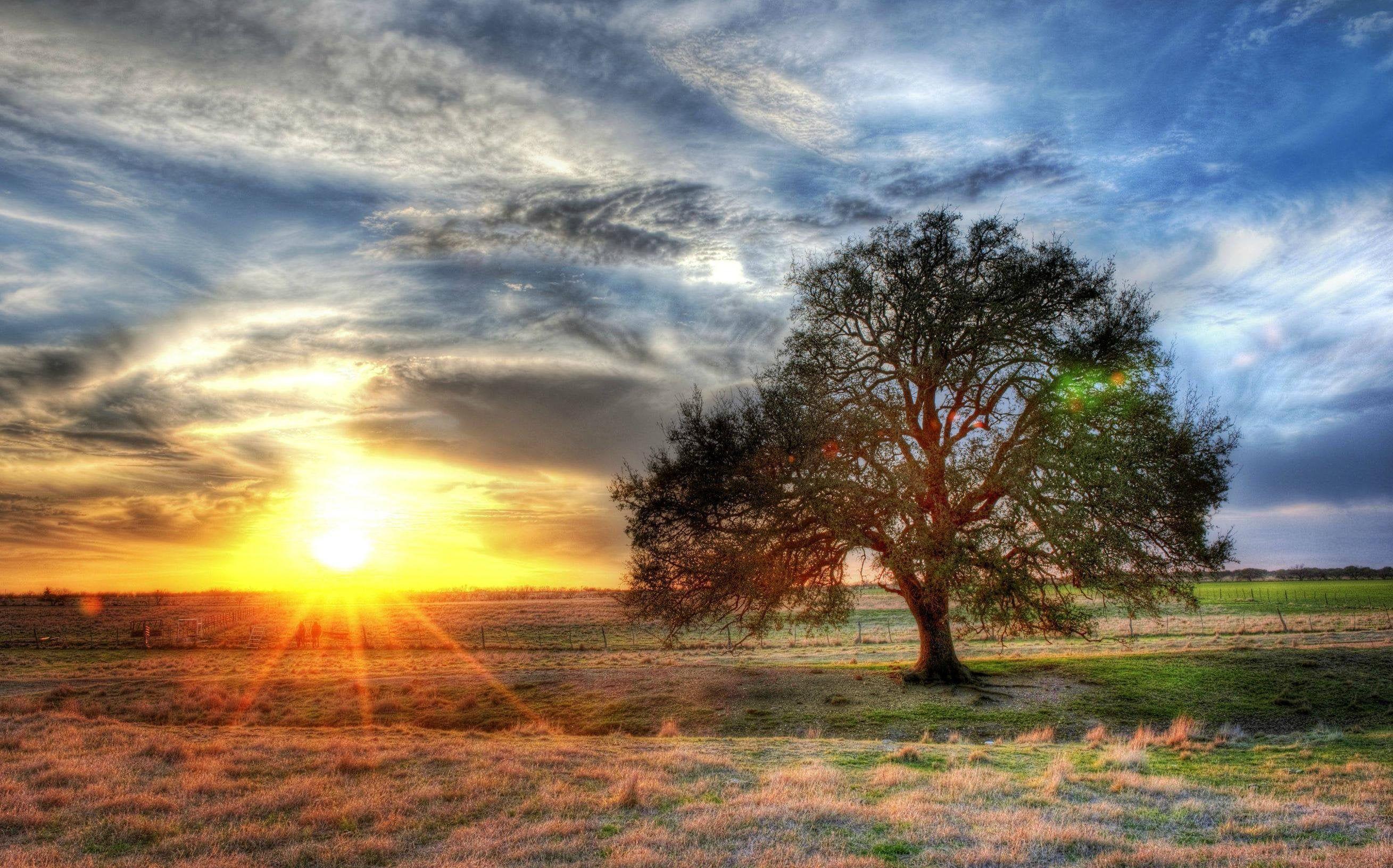 Texas Sunset Wallpapers Top Free Texas Sunset Backgrounds