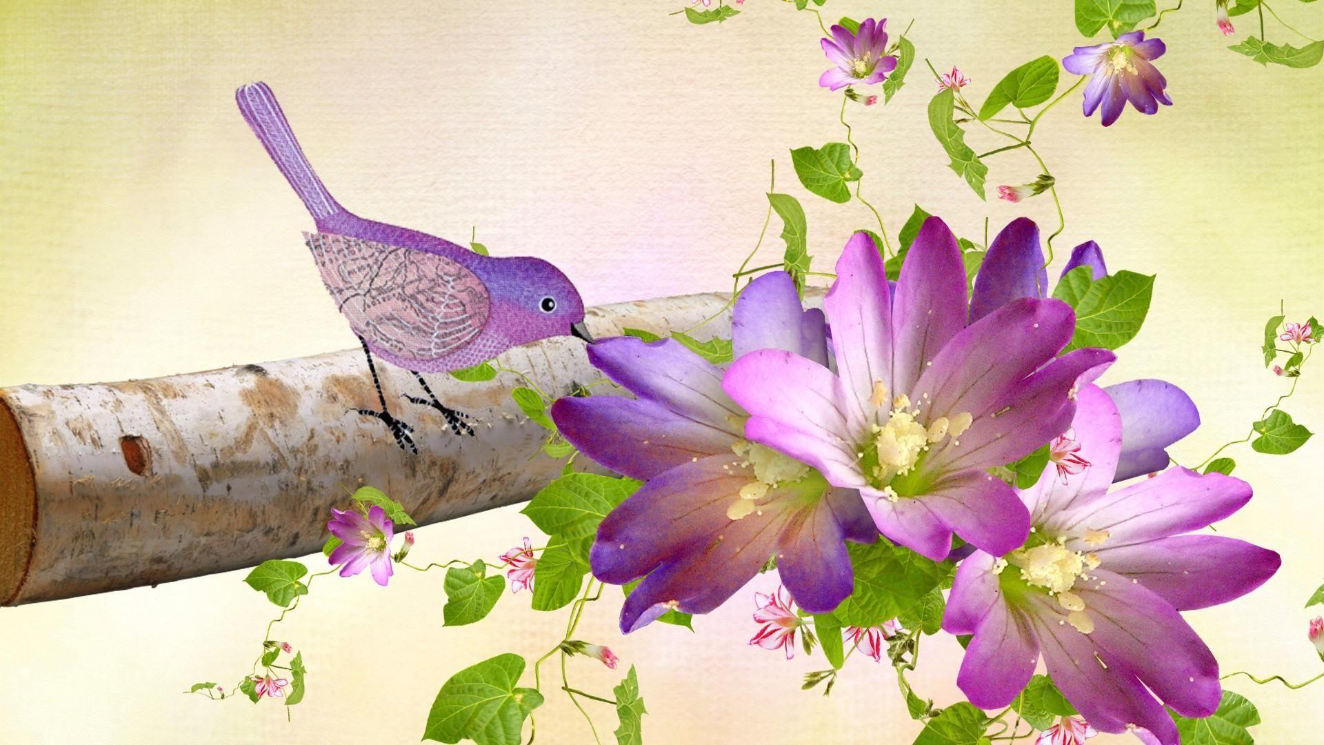 Birds and Flowers Desktop Wallpapers Top Free Birds and Flowers