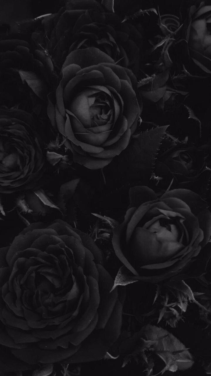 iPhone Black Flower Wallpapers Top Free iPhone Black Flower