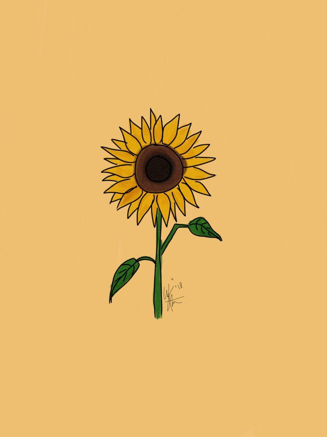 Sunflower Minimalist Wallpapers Top Free Sunflower Minimalist