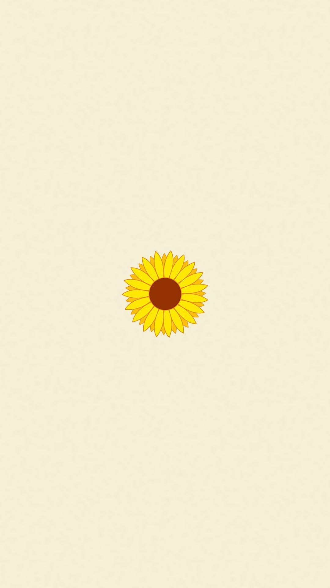 Sunflower Minimalist Wallpapers Top Free Sunflower Minimalist