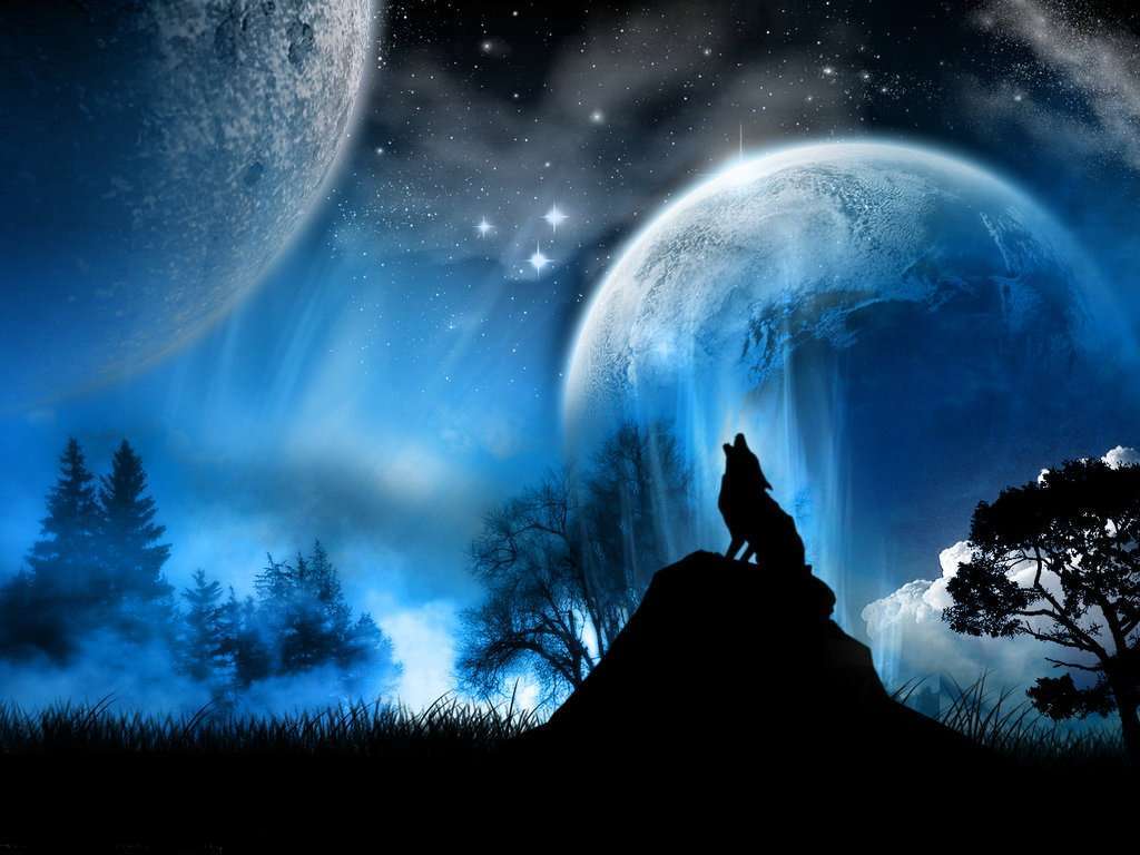 Cool Wolf Art Wallpapers Top Free Cool Wolf Art Backgrounds