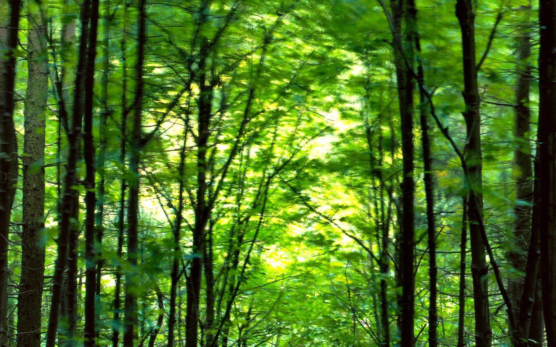 Trippy Nature Wallpapers Top Free Trippy Nature Backgrounds