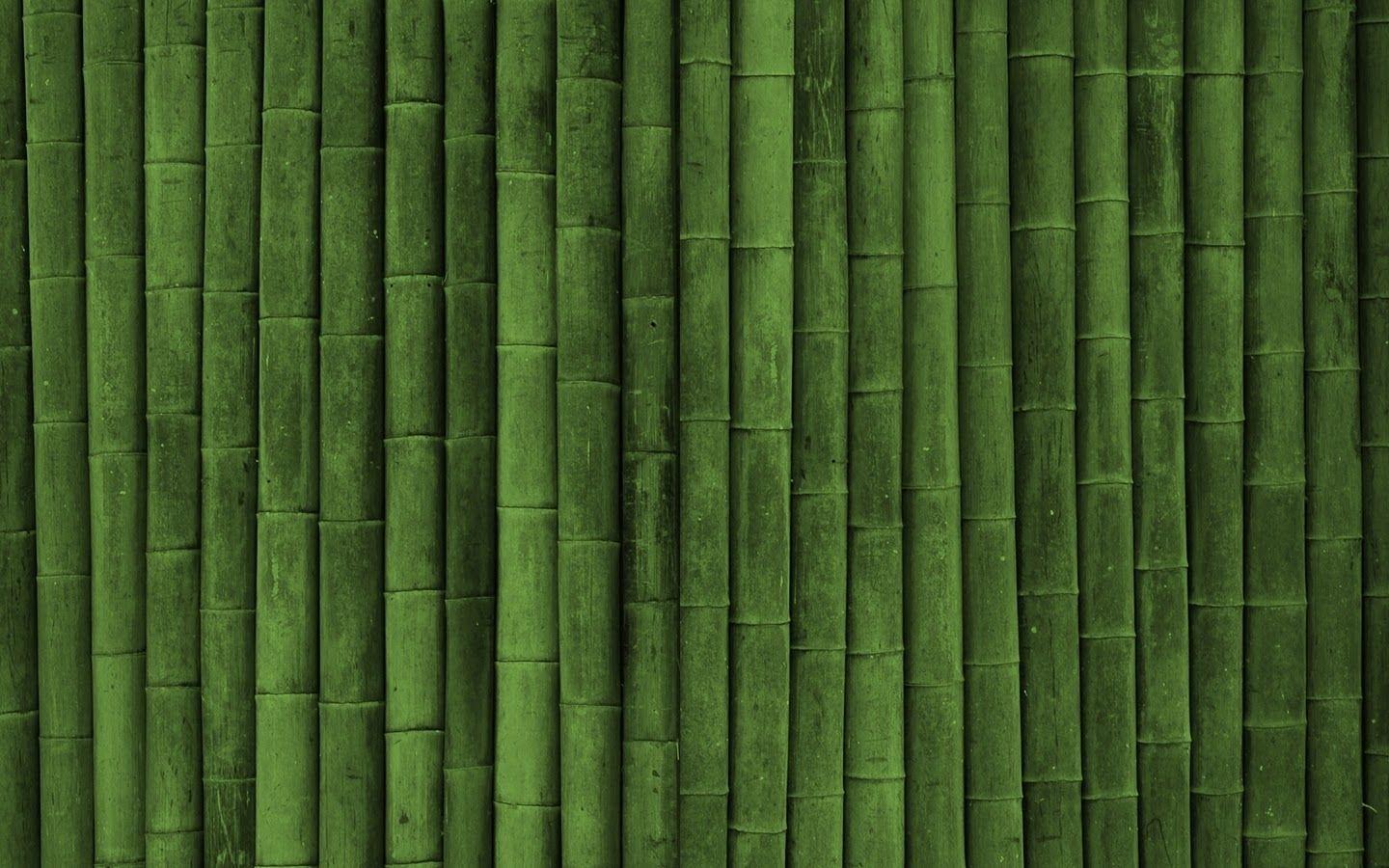 Green Wall Wallpapers Top Free Green Wall Backgrounds WallpaperAccess