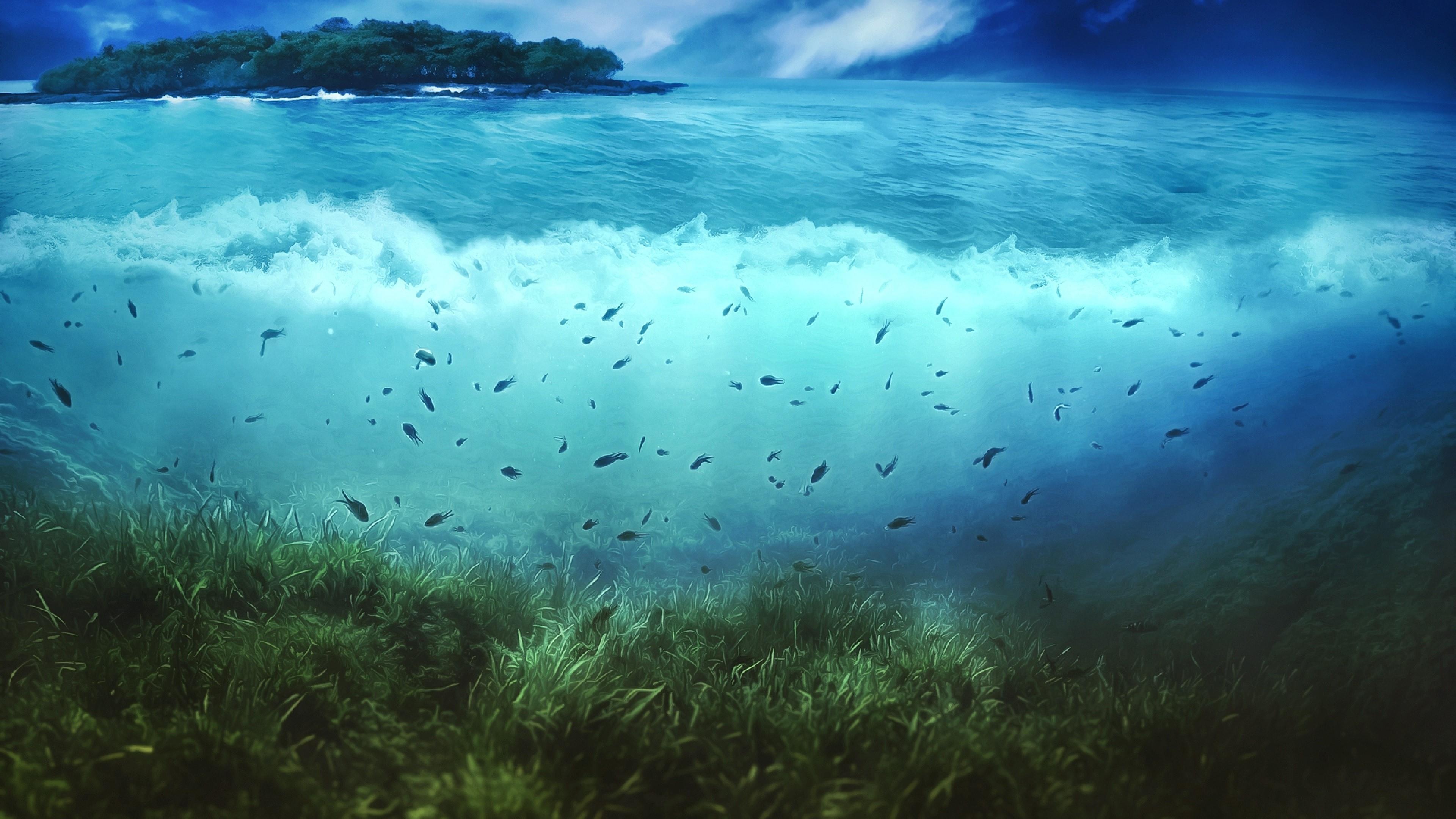 Underwater Wallpapers Top Free Underwater Backgrounds WallpaperAccess