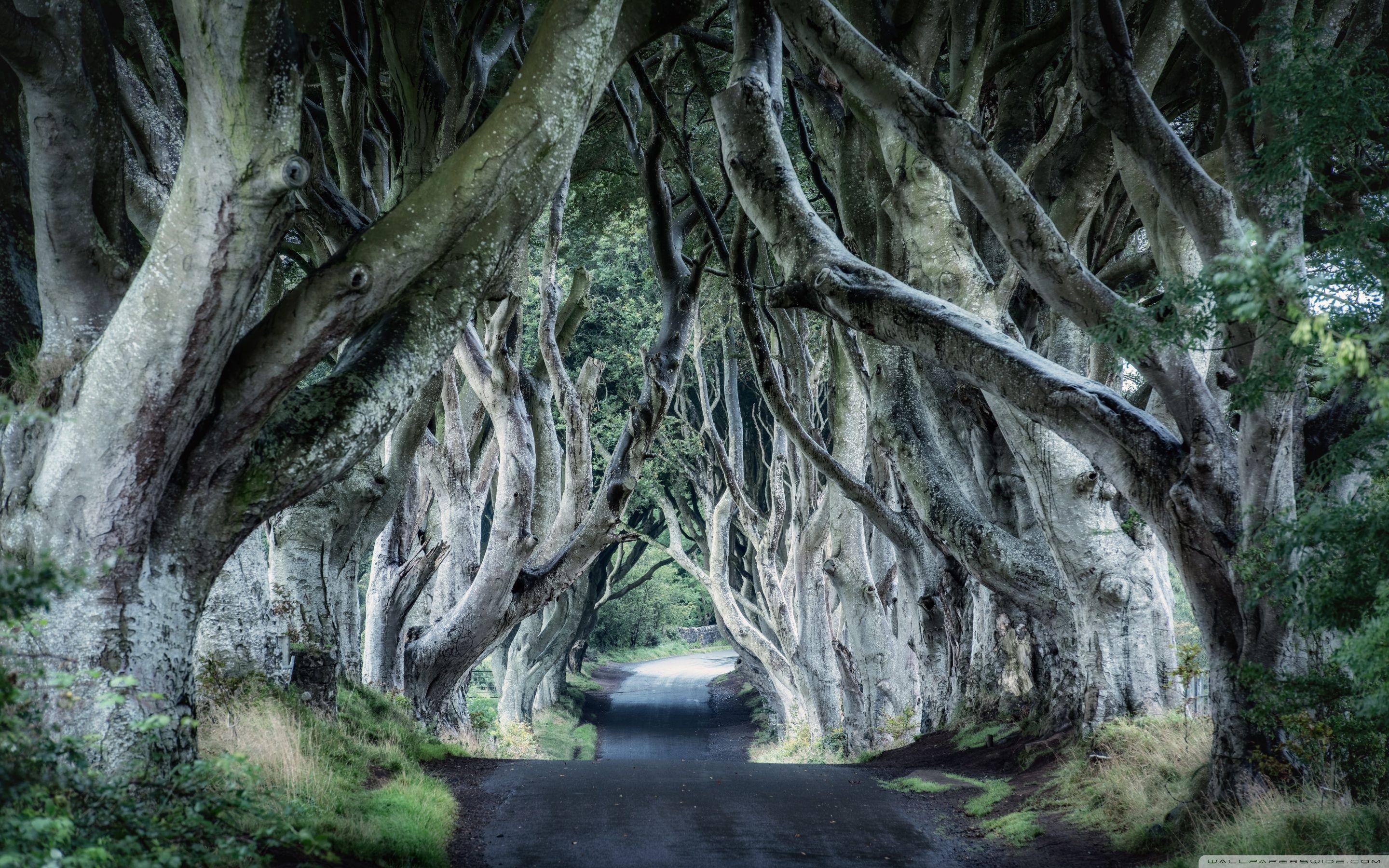 4K Ireland Wallpapers Top Free 4K Ireland Backgrounds WallpaperAccess