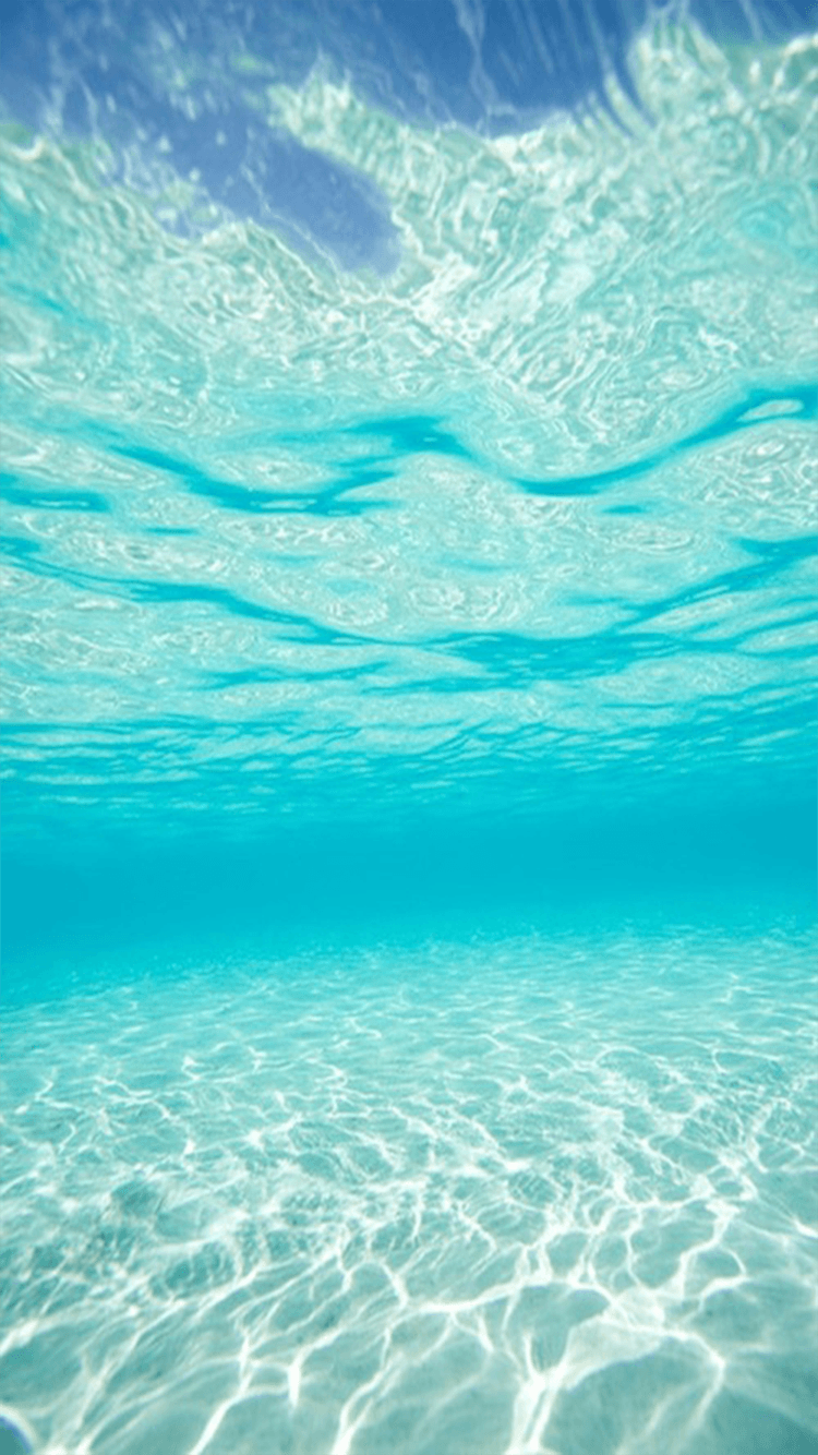 Underwater Wallpapers Top Free Underwater Backgrounds WallpaperAccess