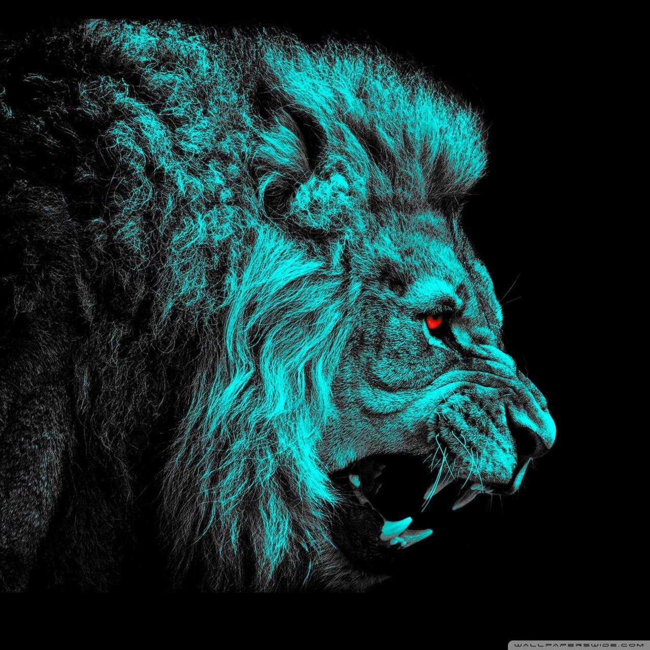 Green Lion Wallpapers Top Free Green Lion Backgrounds WallpaperAccess