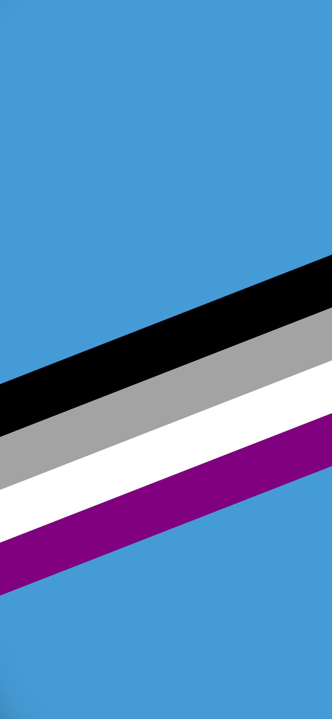 Asexual Flag Wallpapers Top Free Asexual Flag Backgrounds