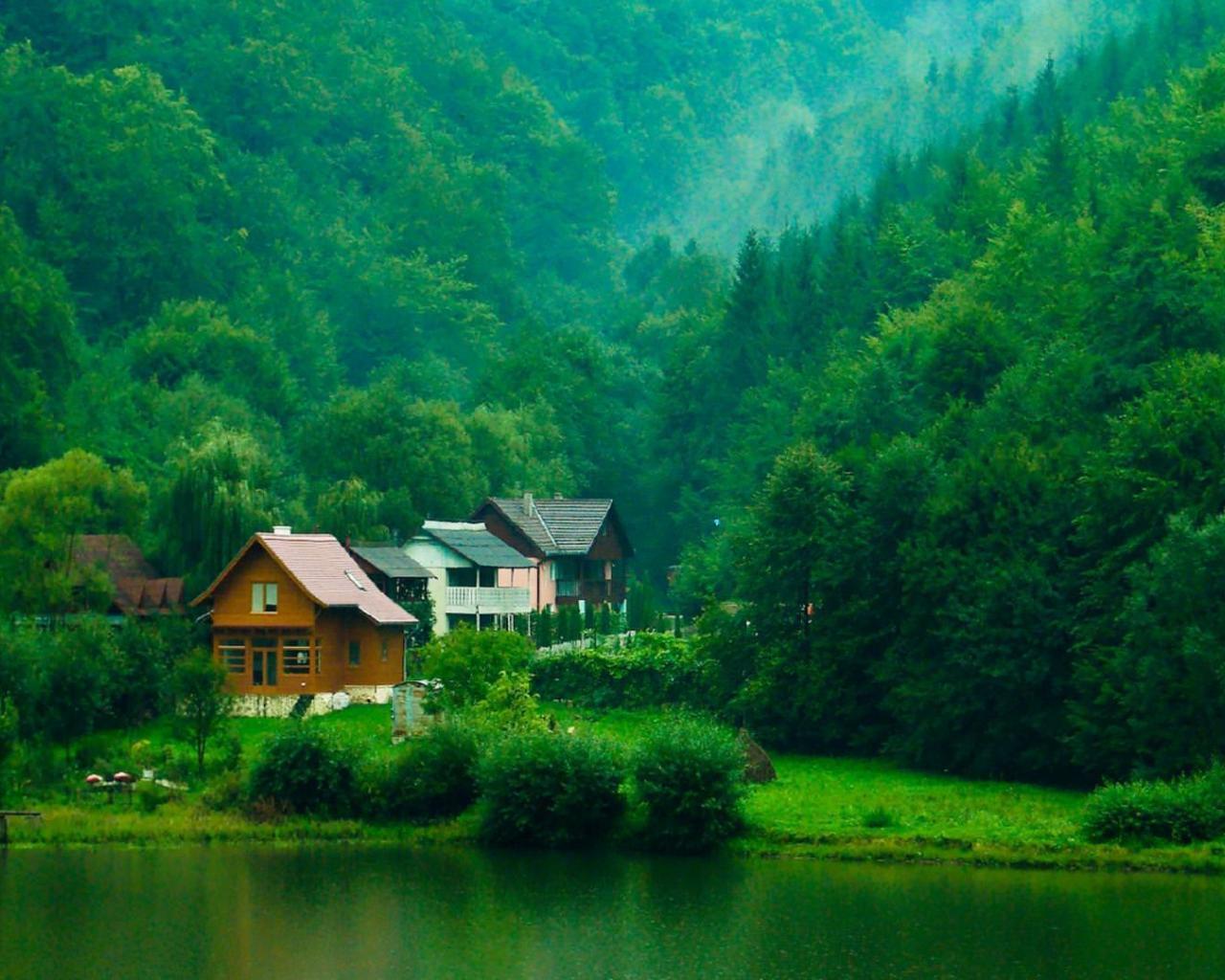 House Forest Wallpapers Top Free House Forest Backgrounds