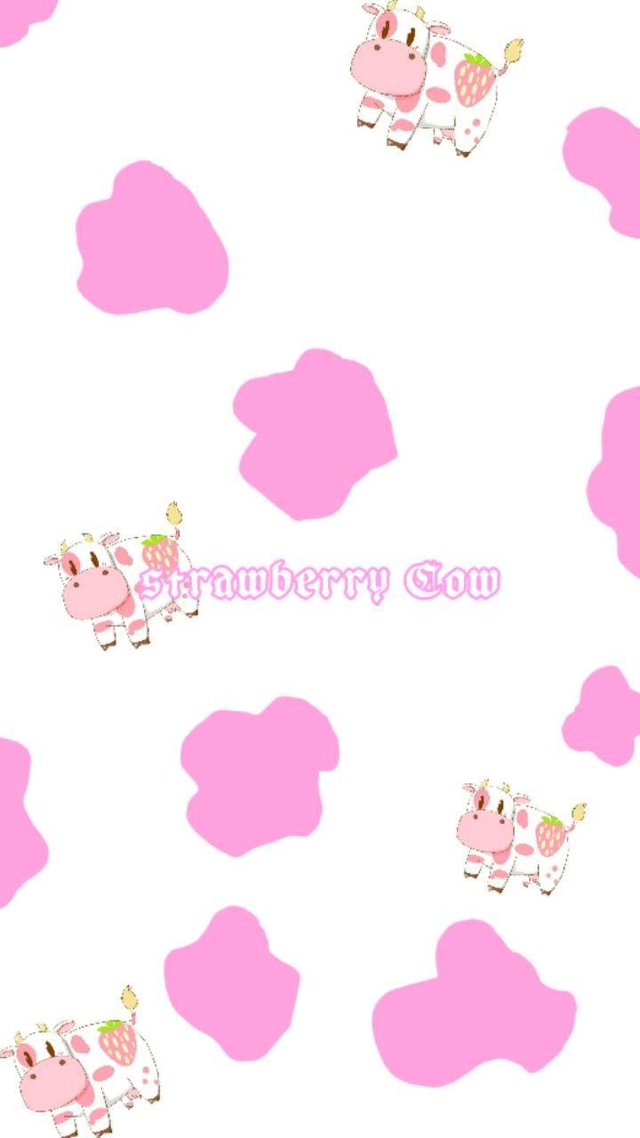 Strawberry Cow Wallpapers Top Free Strawberry Cow Backgrounds