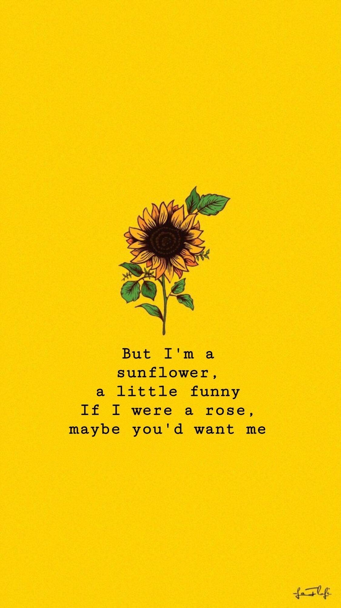 Sunflower Quotes Wallpapers Top Free Sunflower Quotes Backgrounds