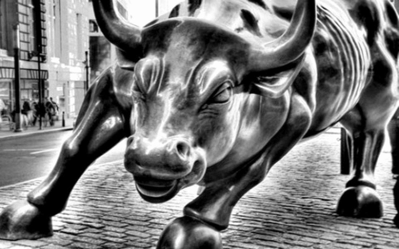 Wall Street Bull Wallpapers Top Free Wall Street Bull Backgrounds