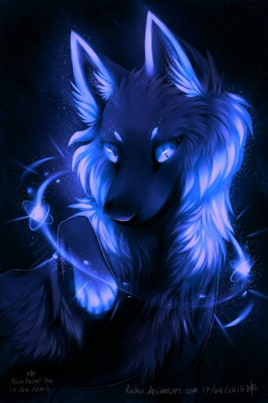 Cool Blue Wolf Wallpapers Top Free Cool Blue Wolf Backgrounds