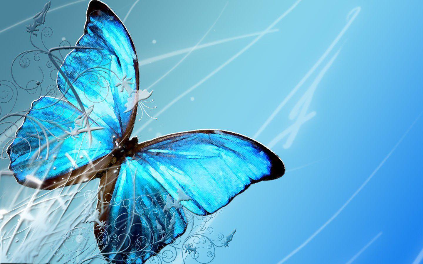 Blue Butterfly Wallpapers Top Free Blue Butterfly Backgrounds