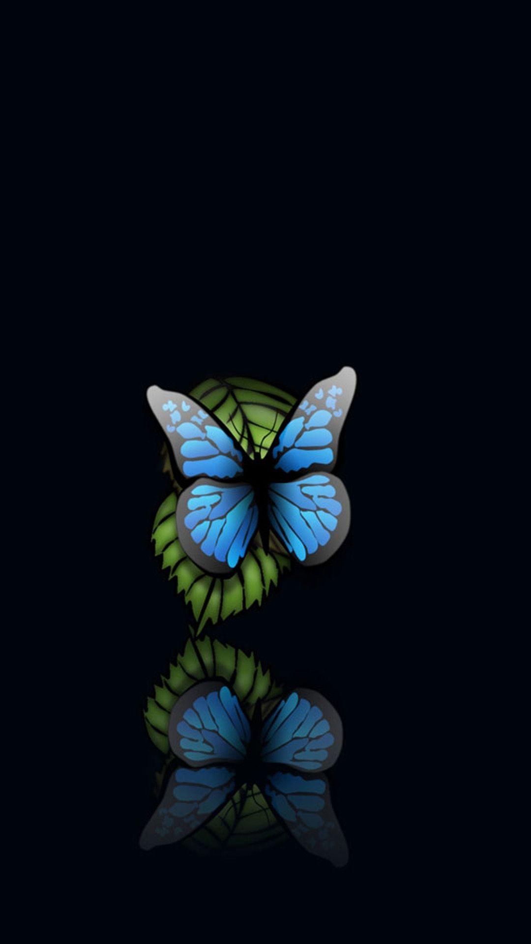 Black Butterfly Wallpapers Top Free Black Butterfly Backgrounds