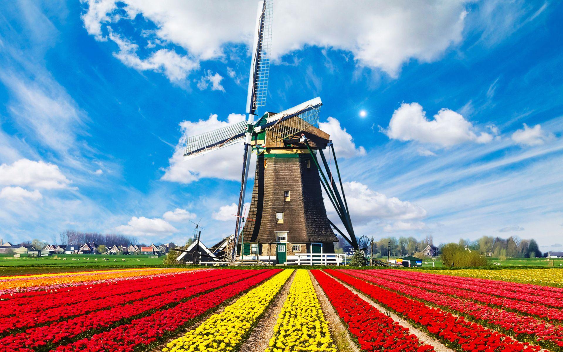 HD Holland Wallpapers Top Free HD Holland Backgrounds WallpaperAccess