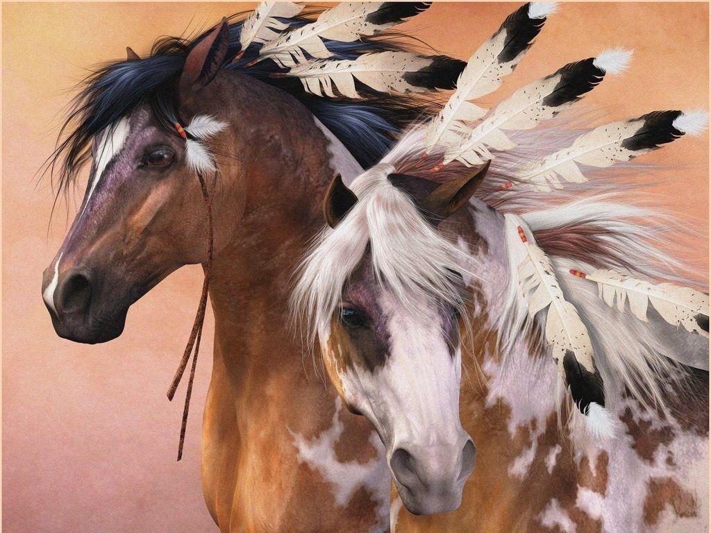 Native American Horses Wallpapers Top Free Native American Horses