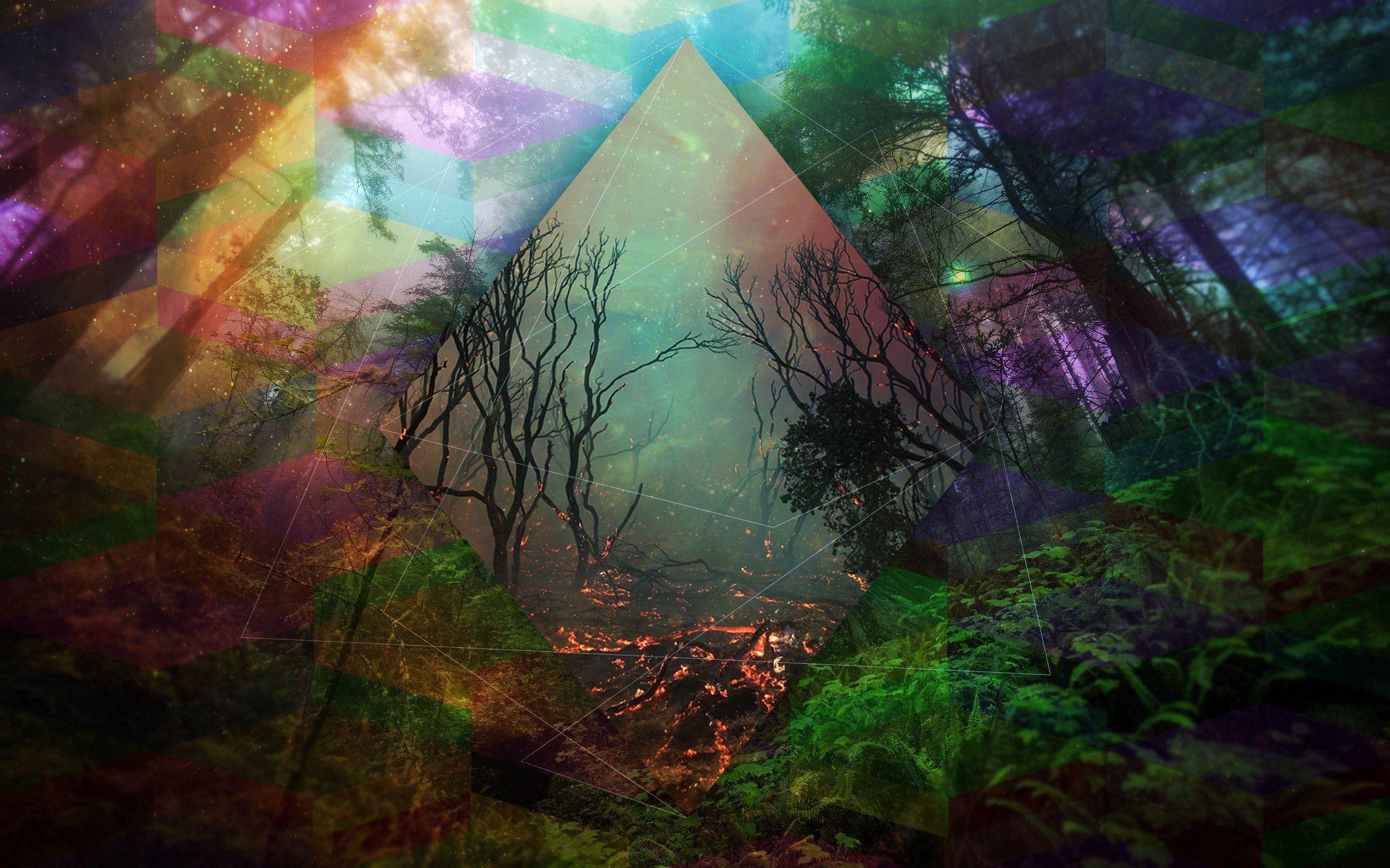 Psychedelic Forest Wallpapers Top Free Psychedelic Forest Backgrounds WallpaperAccess