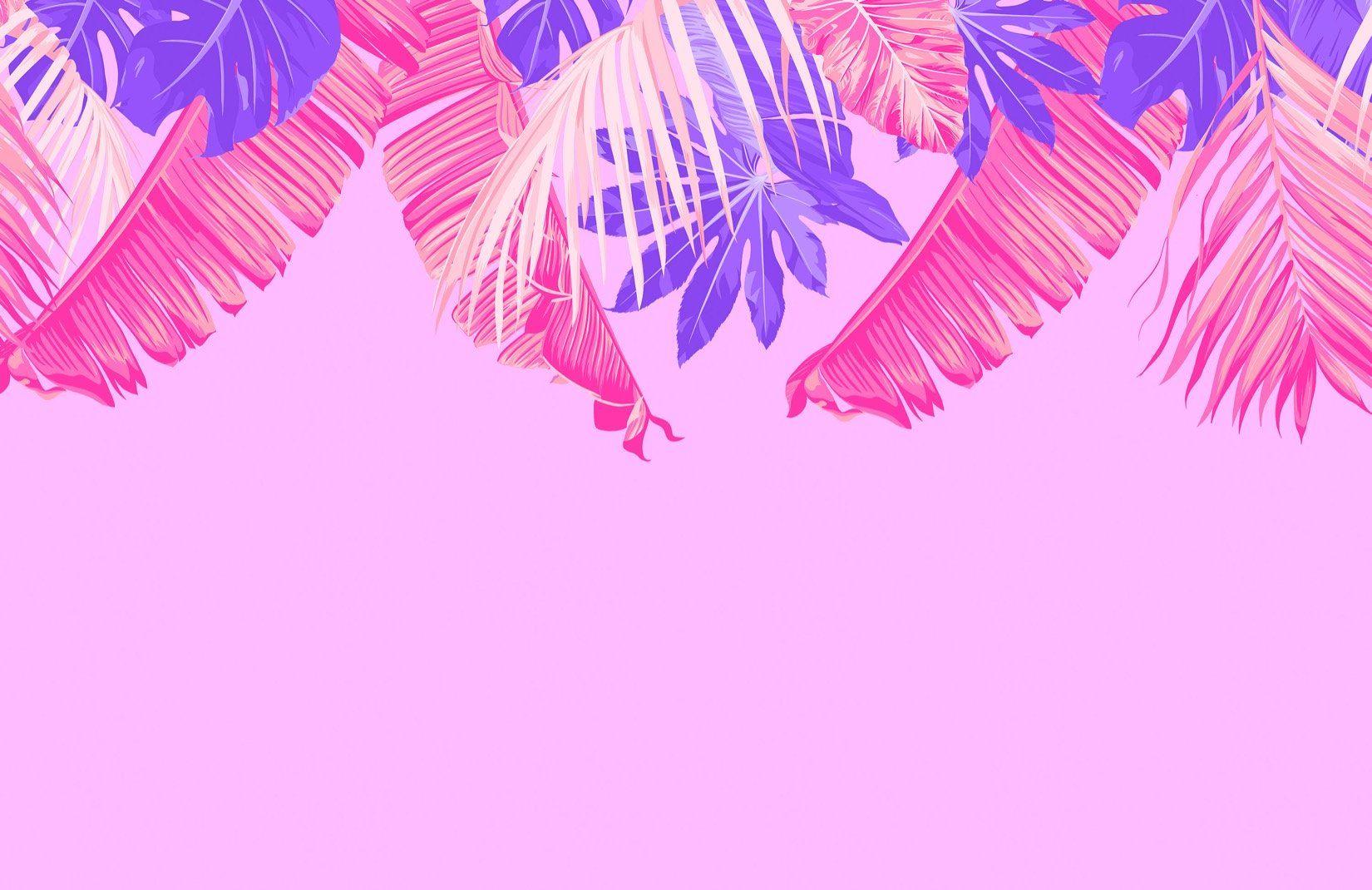 Tropical Pink Wallpapers Top Free Tropical Pink Backgrounds
