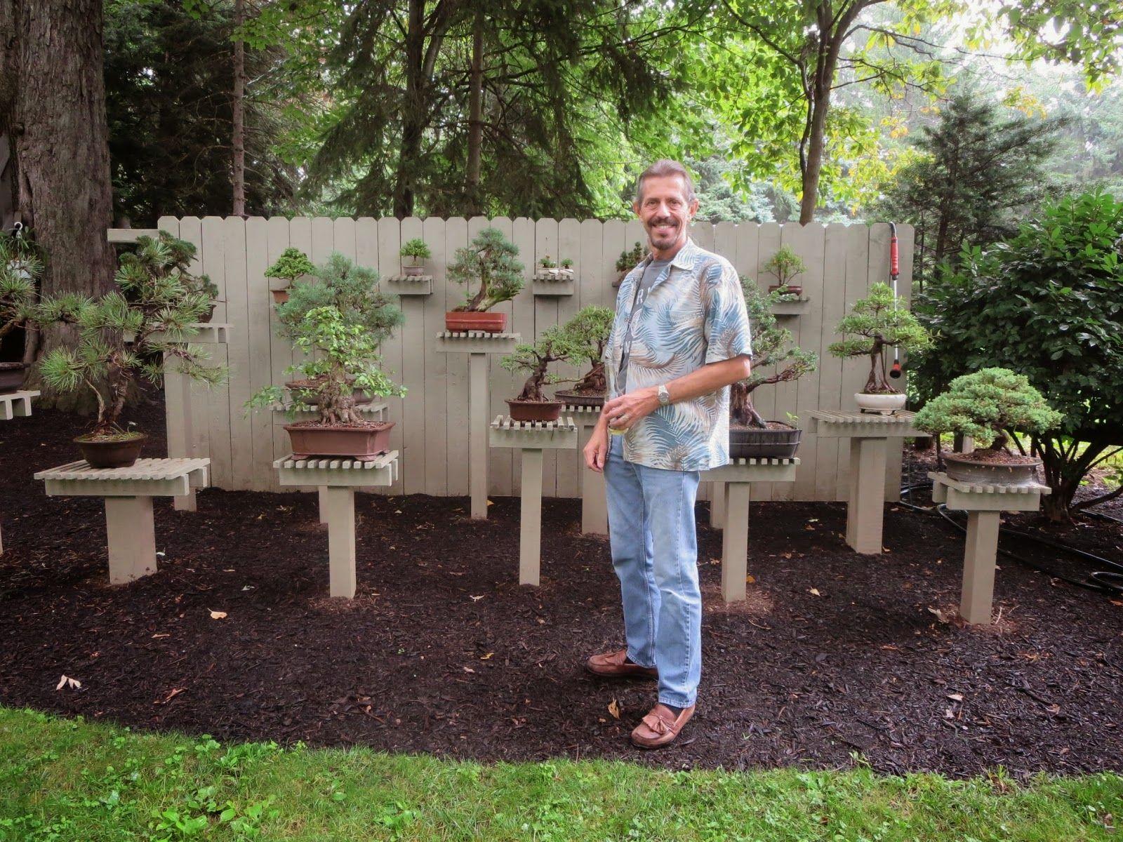 Bonsai Garden Wallpapers Top Free Bonsai Garden Backgrounds