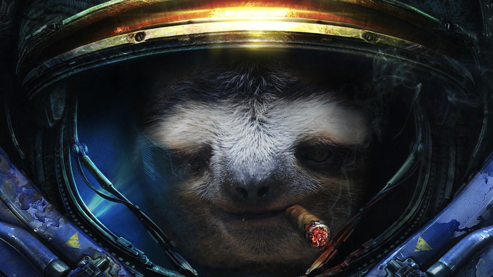 Cat Astronaut Wallpapers Top Free Cat Astronaut Backgrounds