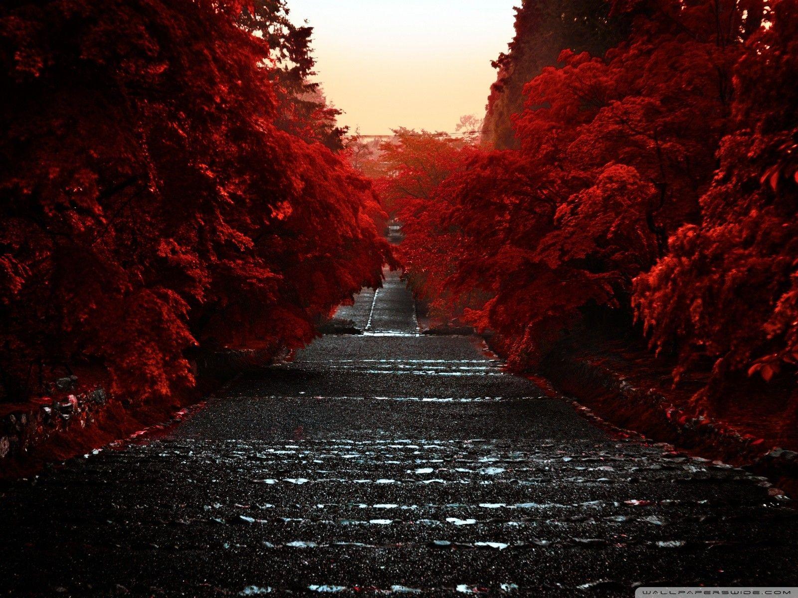 Japan Abstract Wallpapers Top Free Japan Abstract Backgrounds WallpaperAccess