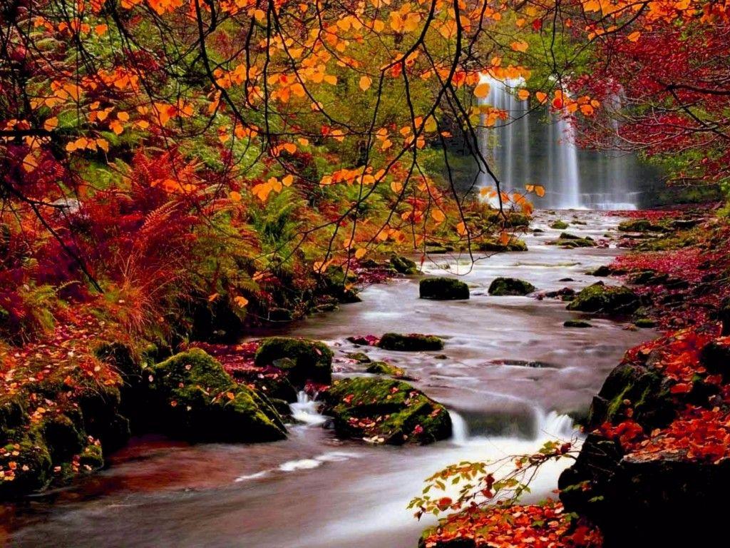 High Resolution Fall Wallpapers Top Free High Resolution Fall