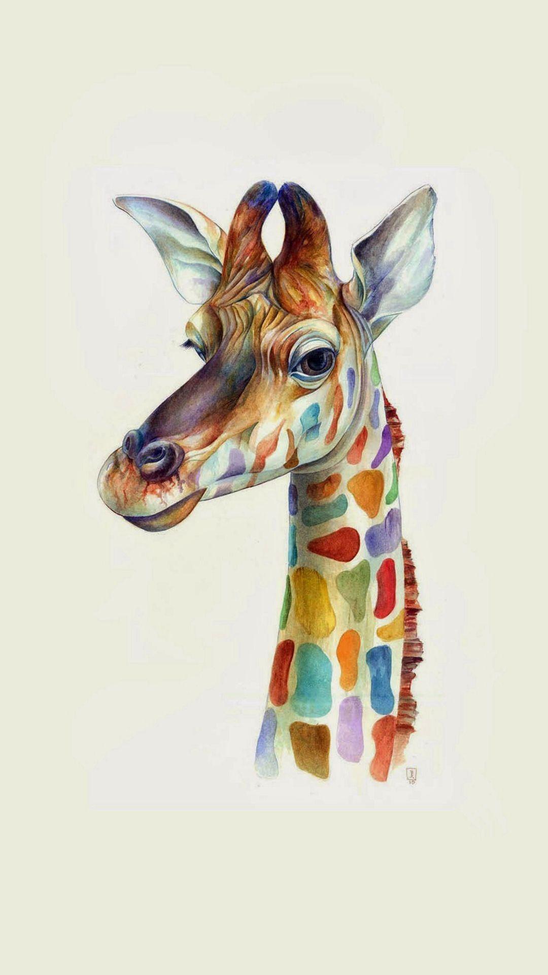 Giraffe iPhone Wallpapers Top Free Giraffe iPhone Backgrounds